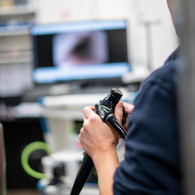 Equine vet with diagnostic machine