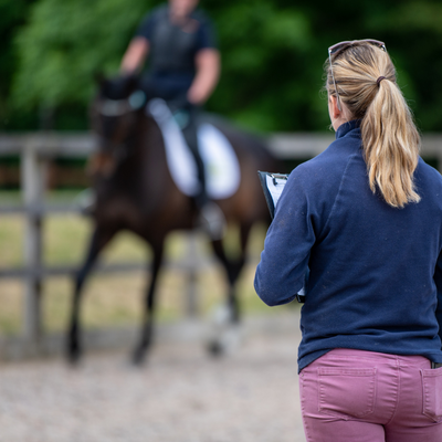 Horse being ridden at vetting