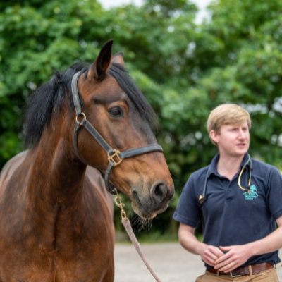 Equine vet Robert Peckham with a client