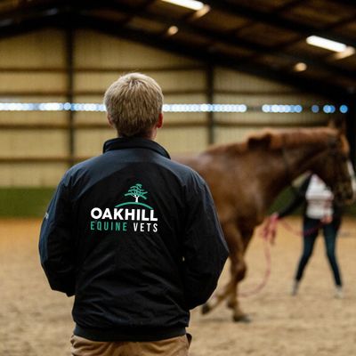 Vet Rob doping a lameness examination on a yard visit