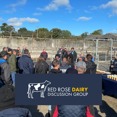 Red Rose Dairy Discussion Group