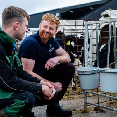 Farm vet consulting with a farmer