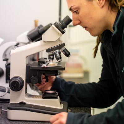 Nurse looking through a microscope